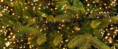 Hoeveel lampjes in de kerstboom?