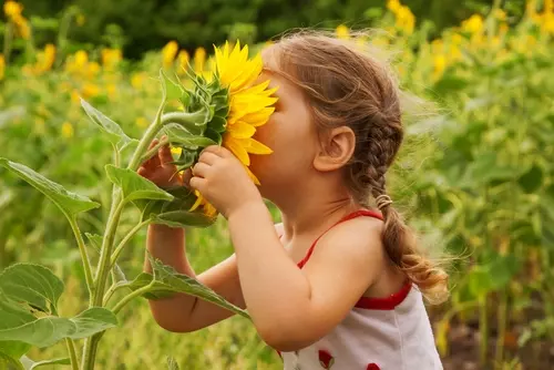 Maak van je tuin een vakantieparadijs