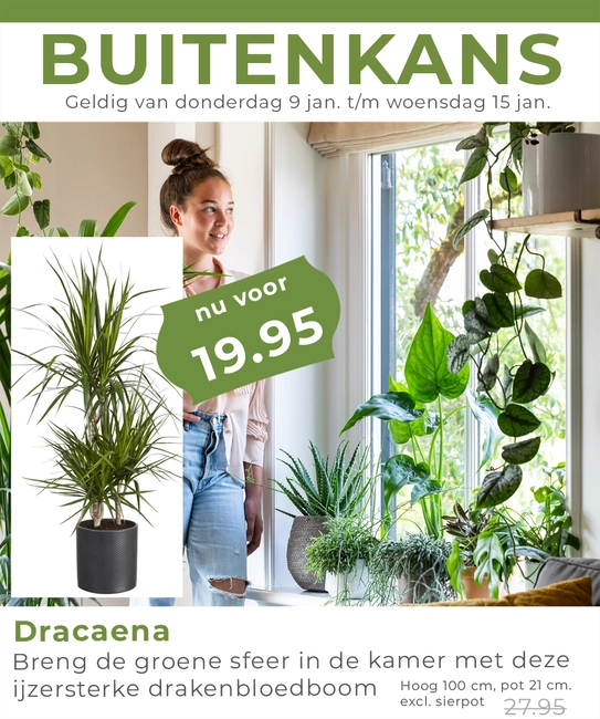 Weekaanbieding